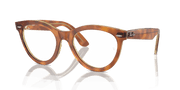 Clear Lenses, Polished Havana On Transparent Brown Frame