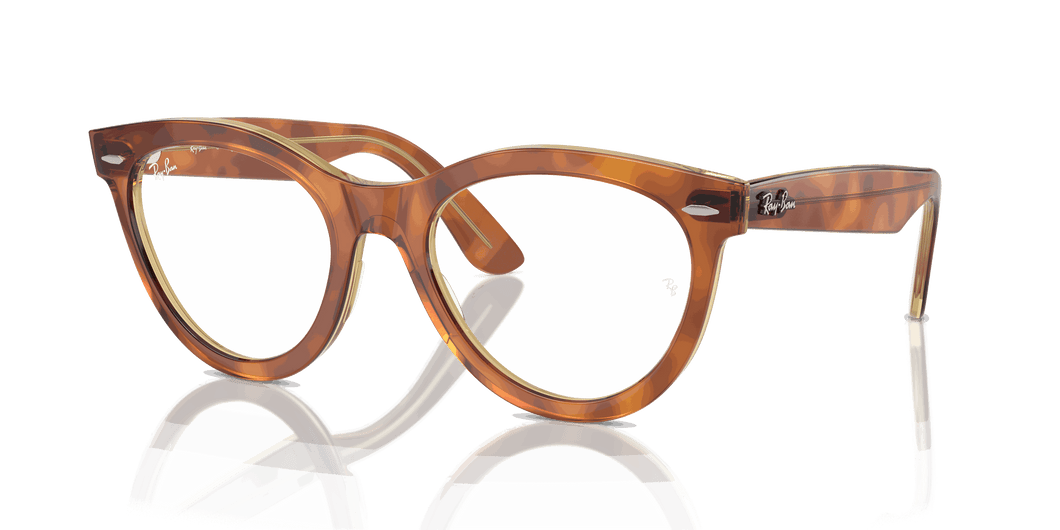 [Clear Lenses, Polished Havana On Transparent Brown Frame]