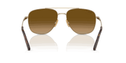 Brown Gradient Polarized Lenses, Polished Arista Gold Frame