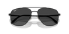 [Polar Black Lenses, Polished Black Frame]