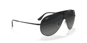 Grey Gradient Lenses, Polished Black Frame