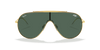 [Dark Green Lenses, Polished Arista Gold Frame]