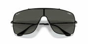 Grey Gradient Lenses, Polished Black Frame