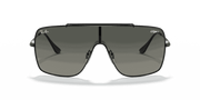 Grey Gradient Lenses, Polished Black Frame