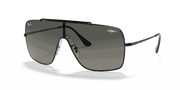 Grey Gradient Lenses, Polished Black Frame