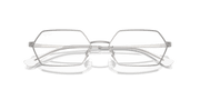 Clear Lenses, Polished Silver Frame