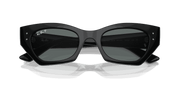 Dark Grey Lenses, Polished Black Frame