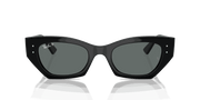 Dark Grey Lenses, Polished Black Frame