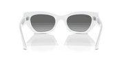 Grey Lenses, Polished White Snow Frame