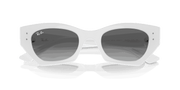 Grey Lenses, Polished White Snow Frame