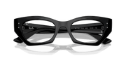 Clear Lenses, Polished Black Frame