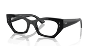 Clear Lenses, Polished Black Frame