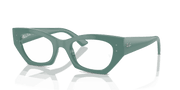 Clear Lenses, Polished Algae Green Frame