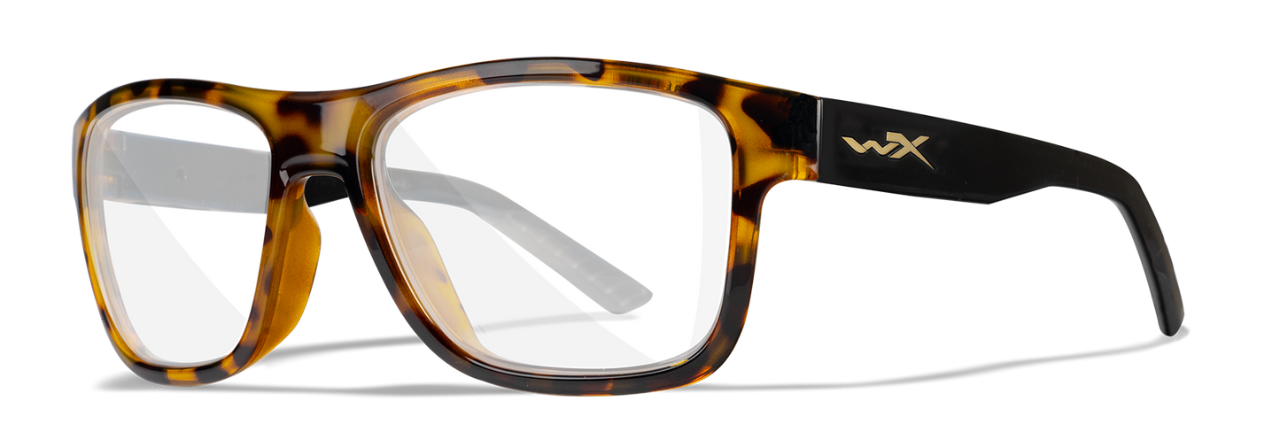 [Gloss Brown Demi/Clear]