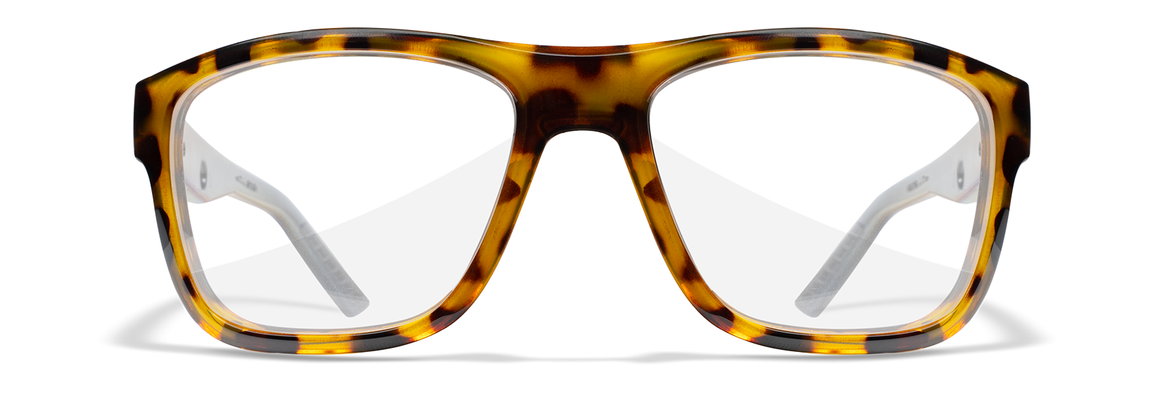 [Gloss Brown Demi/Clear]