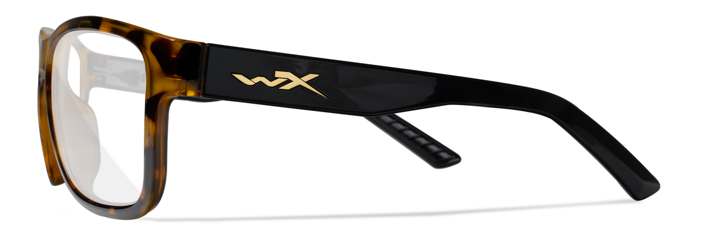 [Gloss Brown Demi/Clear]