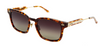 [Tortoise 18k Gold - Brown Gradient Lens]