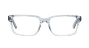 Transparent Grey Front and Temples