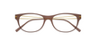 [Frost Brown Face - Gold Brilla Temples]