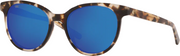 Shiny Tiger Cowrie - Blue Mirror 580G