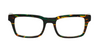 [Green tortoise front with green temples]