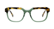 Green and Tortoise Front with Tortoise Temples