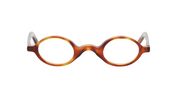 Orange Tortoise Front and Temples