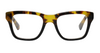 [Tortoise & Black Front with Tortoise Temples]