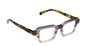 Blue and Grey-Striped Front and Tortoise Temples