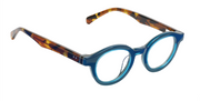 Teal front with tortoise temples
