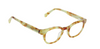 [Caramel Tortoise Front and Temples]