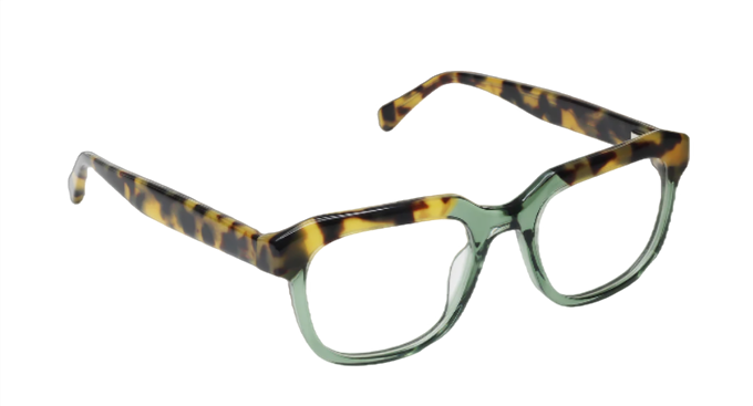 [Green and Tortoise Front with Tortoise Temples]