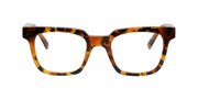 Amber Tortoise Front and Temples